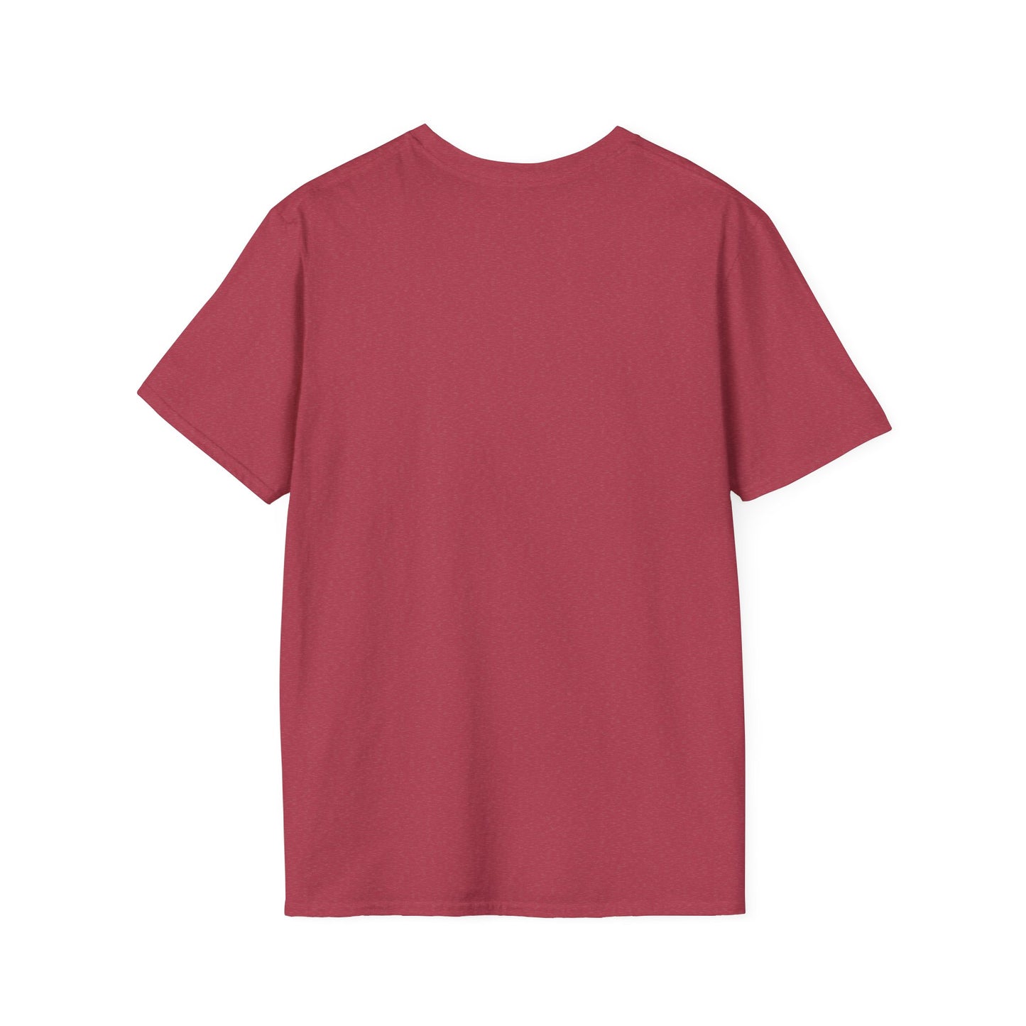 Retiree Hair Don't Care - Military Airforce - Soft Style Women's Graphic Tee
