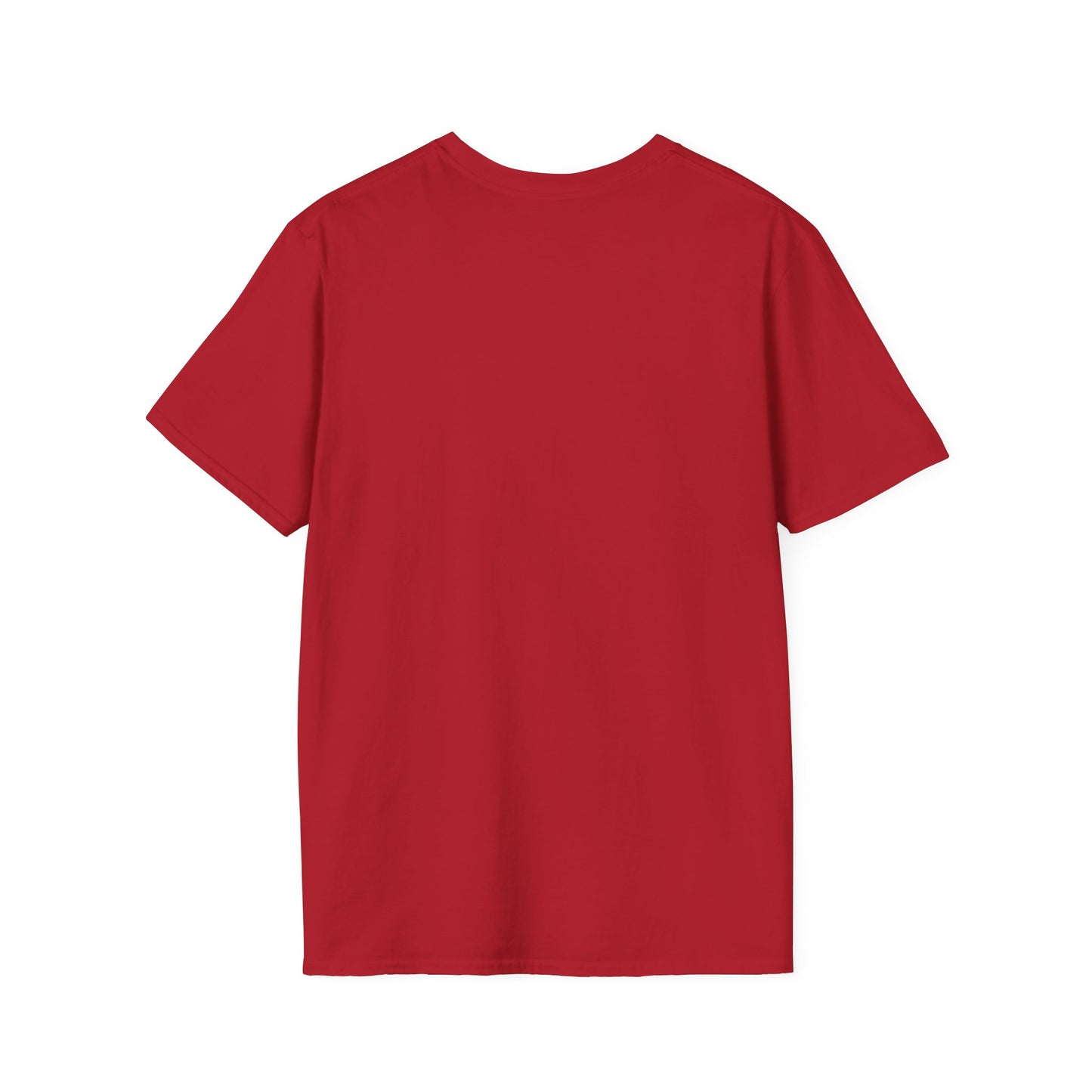 Retiree Hair Don't Care - Military Airforce - Soft Style Women's Graphic Tee