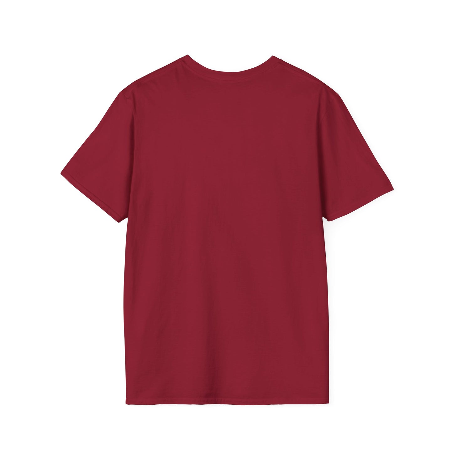 I Believe In Santa Unisex Softstyle Graphic Tee